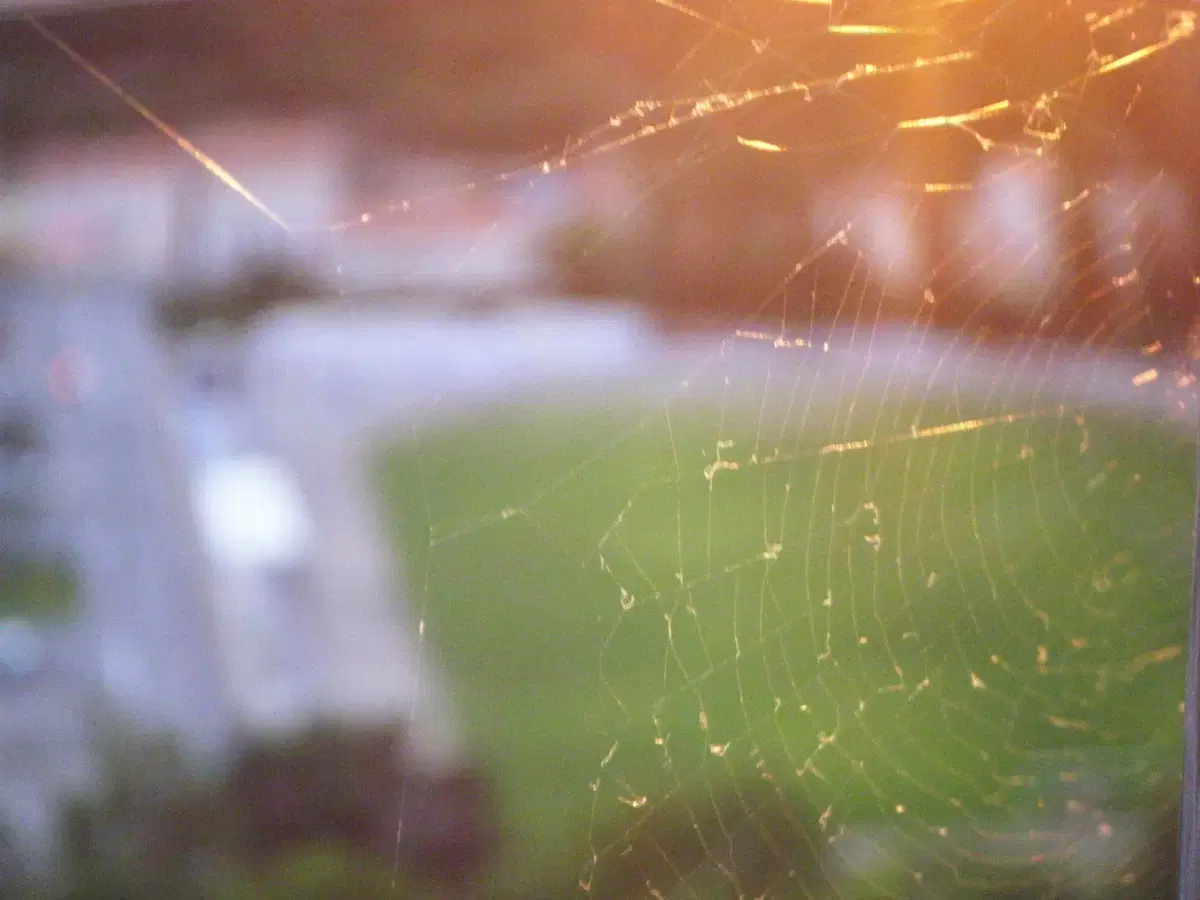 thumbnail-10